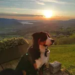 Bergträumli Keine Zufahrt *