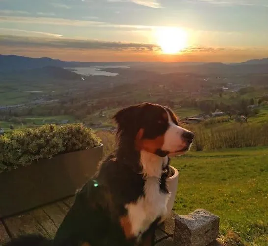 Bergtraeumli Keine Zufahrt *