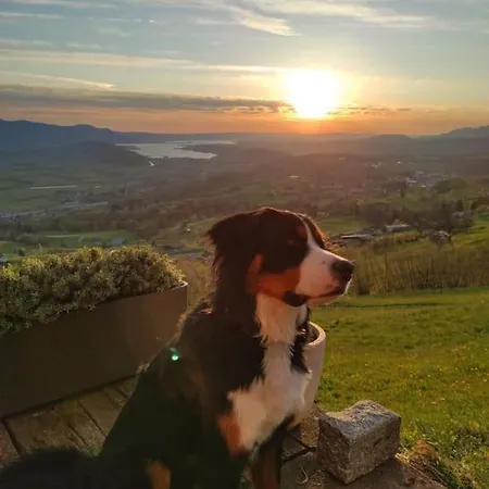 Bergtraeumli Keine Zufahrt *